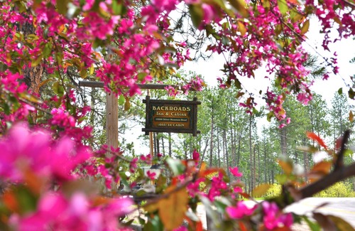 Keystone Cabin | Cozy cabin in the woods