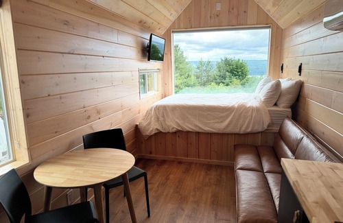 Burdett Cabin | Cozy cabin tucked in the heart of the finger lakes with a lake view and patio!