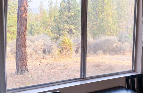 Callahan House | Cozy Callahan Cabin Full Bed Studio + Wifi Siskiyou County Mt. Shasta Yreka