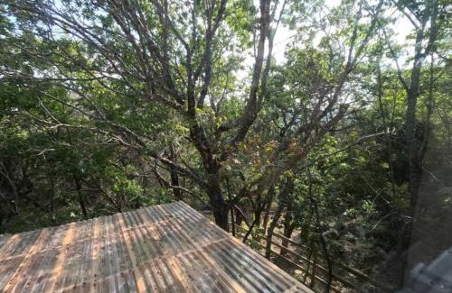 Cardinal Hills Estates House | Cozy Coop Casita - Lake Travis-Hot Tub-Tiny House