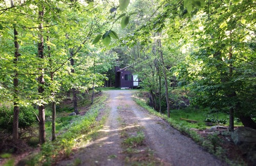Bushkill House | Cozy Forest Creekside Home: jacuzzi, fireplace, firepit+