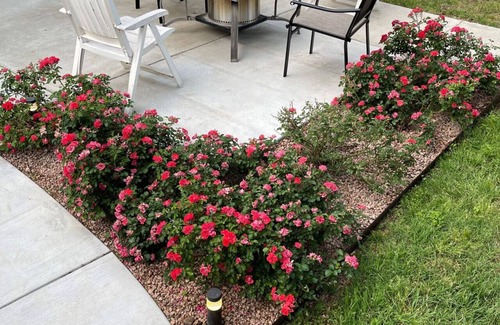 Georgetown House | Cozy Fun Upscale 6 beds