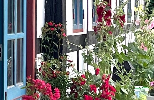 Heidelberg City Centre House | Cozy half-timbered cottage on the island of Funen/Denmark