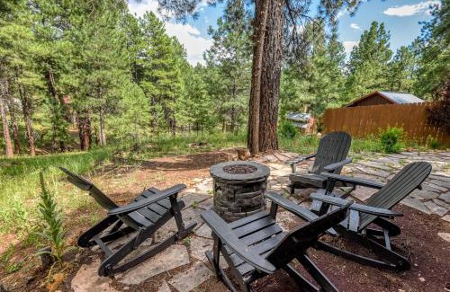 Kachina Village Apartment | Cozy Hilltop Retreat Quiet Street Near Downtown and NAU Private Forested Setting