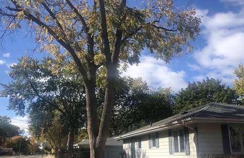 East Bloomington House | Cozy home with fireplace