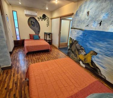 Puerto Ayora Apartment | Cozy Hosting Galapagos