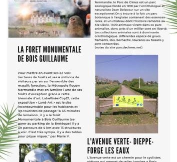 Arques-la-Bataille House | Cozy house