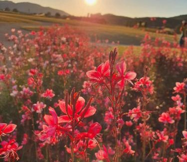 Igok-dong Apartment | Cozy House