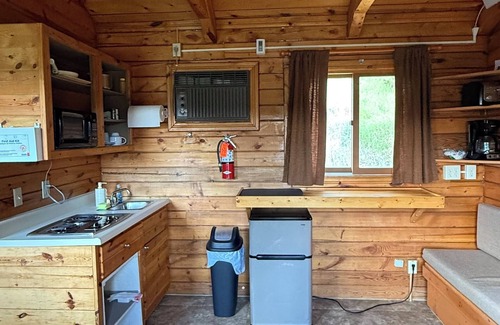 Custer Cabin | Cozy little pet- friendly cabins in the heart of the Black Hills!