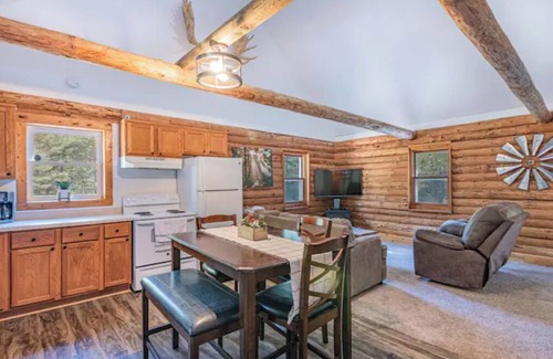 Wisconsin Dells Cabin | Cozy Log Cabin Nestled in the Pines but just Minutes to Everything!