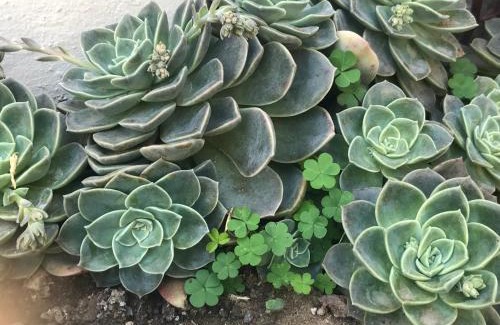 Kareeberg House | Cozy Luxury NO ANIMAL PRODUCTS ALLOWED ON PREMISES