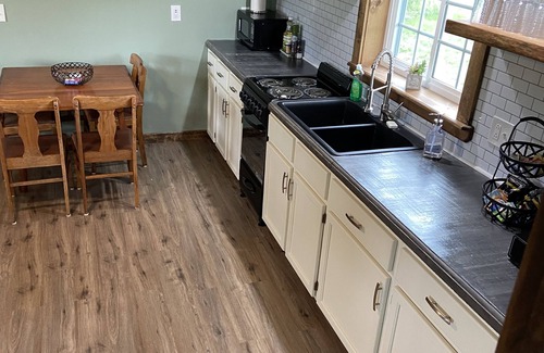 Beaver Dams House | Cozy new cottage sleeps 4 near Watkins Glen Racetrack!