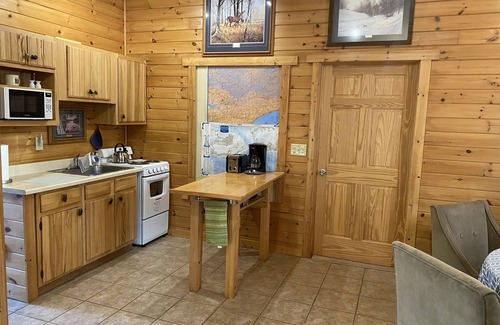 Ely Cabin | Cozy Northwoods Cabin