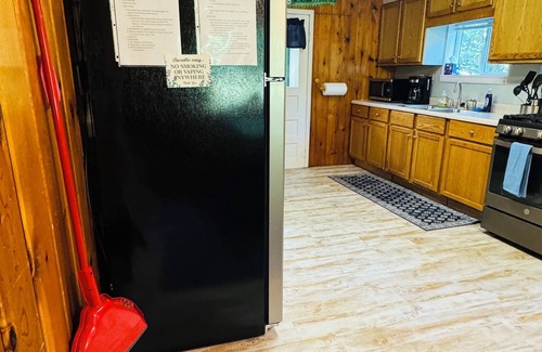 Branch Cabin | Cozy Peaceful 1 bedroom Cabin, that sleeps 6 - A perfect nature filled getaway.
