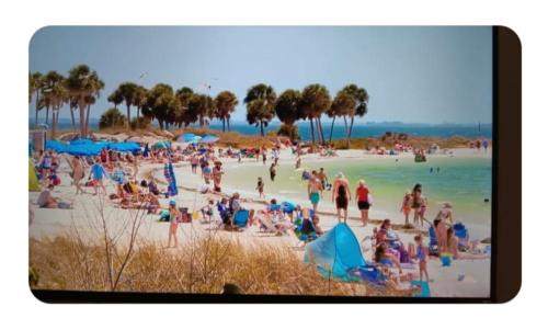 Tarpon Springs Apartment | Cozy Retreat near the Beach