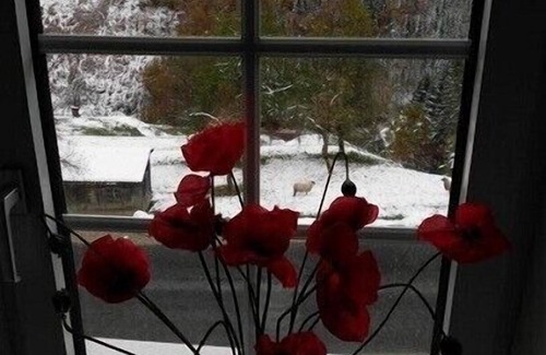 Weyer Ski Chalet | Cozy rustic vacation hut Upper Austria Ennstaler Kalkalpen up to 6 pers., fenced