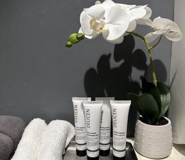 Englewood Apartment | Cozy Spacious Guest Suite