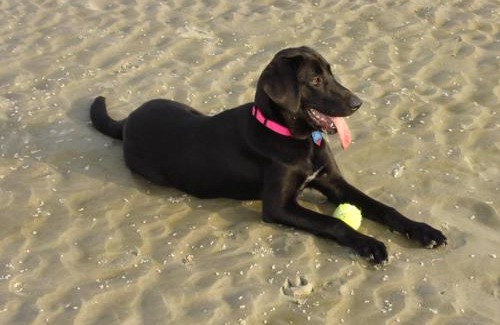 Saint Helena Island House | Cozy Suite just Steps from Beach Club, Sandbar, Tennis, & Beaches