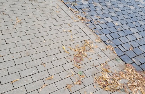 Wabern Apartment | Cozy vacation apartment Alte Arztpraxis - especially suitable for families!