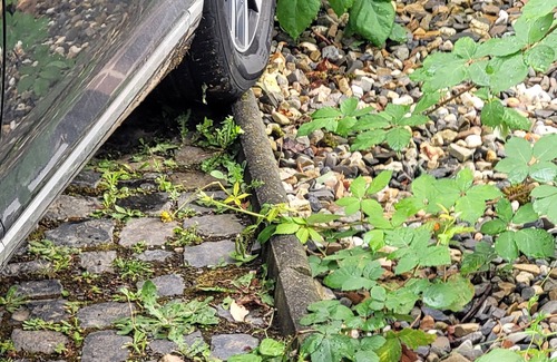 Wabern Apartment | Cozy vacation apartment Alte Arztpraxis - especially suitable for families!