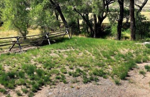 Cody Apartment | Creek Side Cabin #2- Wapiti Valley, steps from Trout Creek