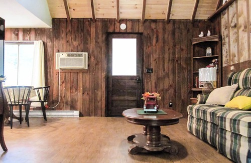 Montrose Cabin | Creekside Cabin Near Salt Springs Park!