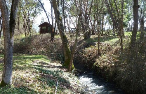 Medford House | Creekside Cabin