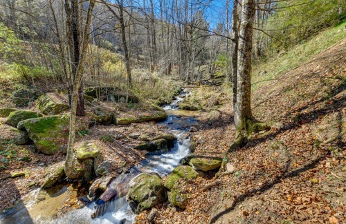 Waynesville House | Creekside Cabin with Fire Pit and Hot Tub on Hemphill