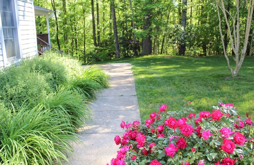 Otto Condo | Creekside in the Smoky Mtns.nhas a rejuvenating quality. Something we all need!