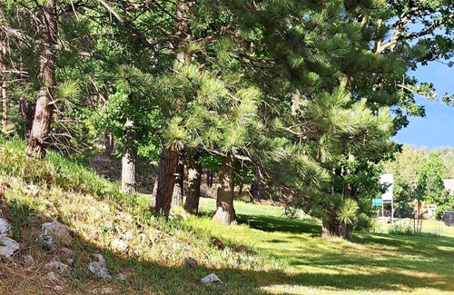 Keystone House | Creekview Suite at Tanager Brook Inn in the Heart of Black Hills by Mt. Rushmore