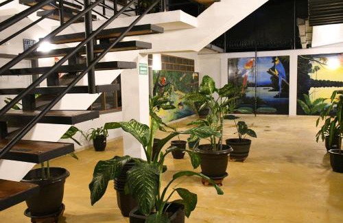 Leticia Hotel | Cruz Roja - Turismo Solimões