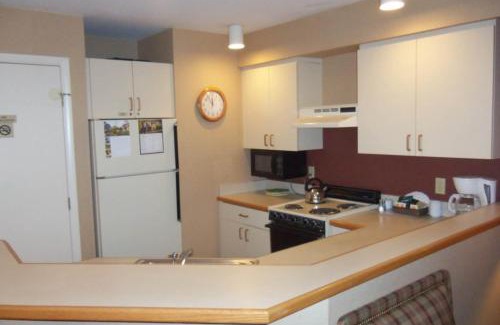 Thompsonville Apartment | Crystal Mountain Condo - Wintergreen 535