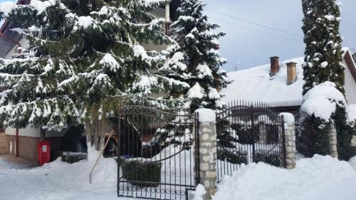 Sovata Bed & Breakfast | Csaki Vendeghaz