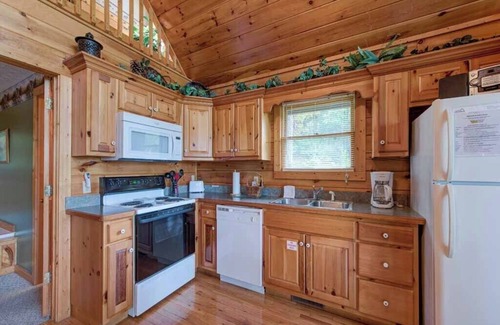 Black Bear Falls Cabin | Cub's Cove