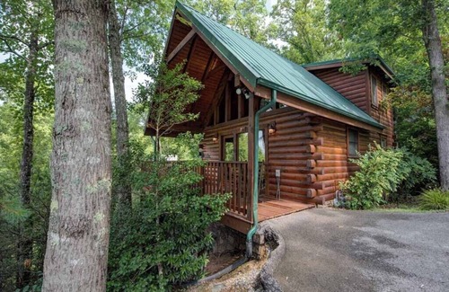 Black Bear Falls Cabin | Cub's Cove