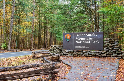 Black Bear Falls Cabin | Cub's Cove