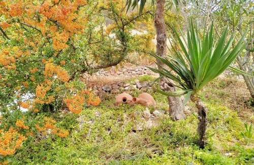 Pegalajar House | Cueva El Parral