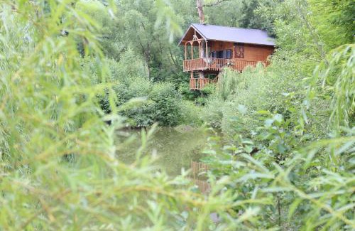 Moisei Cabin | Cuibul Vulturilor - Casuta in Copac