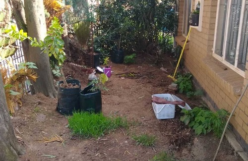 Greater Johannesburg Metropolitan Area House | Cultural Experience in The Heart of Soweto