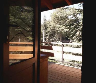 Puerto Manzano Ski Chalet | Cuncumen Casa de Montaña