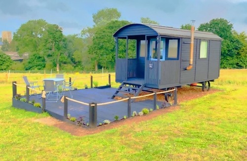 Aldeby Cottage | Curly Cow is a marvellous shepherd’s hut that sleeps up to four people.