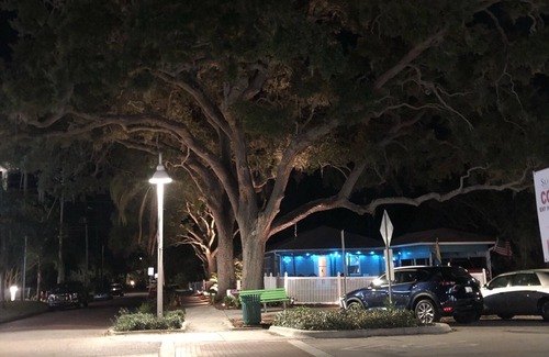 Gulfport Apartment | Cute 1 BR apt 1/2 block to Beach Blvd and 3 Blocks to the Beach