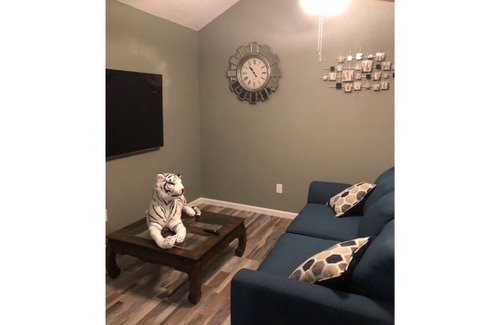 Leon Valley House | CYC Big Cat HideAway