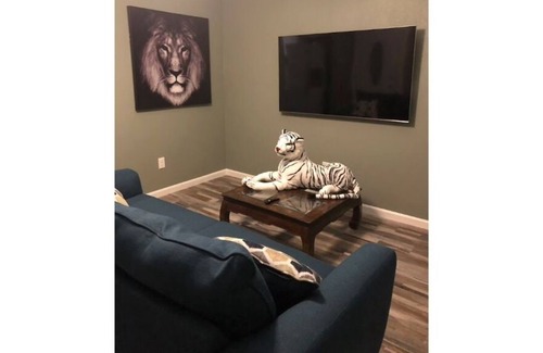 Leon Valley House | CYC Big Cat HideAway