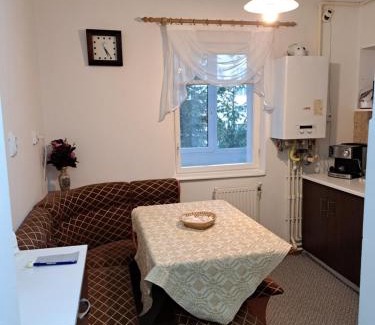 Sfantu Gheorghe Apartment | DÉNY APARTMAN