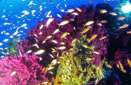 Vezzi Portio Apartment | Da Laura e Sergio