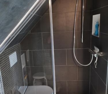 Vorderer Westen Apartment | Dachstudio Herkulesblick