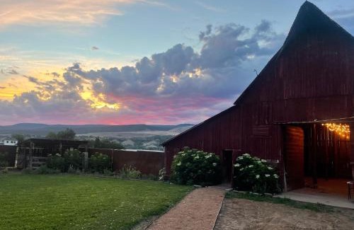 Lazear Other | Daisy Glamping Tent at Zenzen Gardens