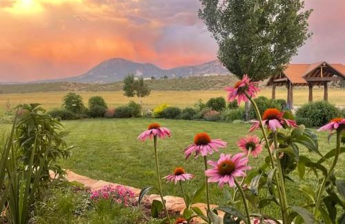 Lazear Other | Daisy Glamping Tent at Zenzen Gardens