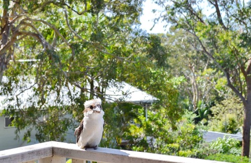 Arakoon House | Dalesview Retreat - close to the water